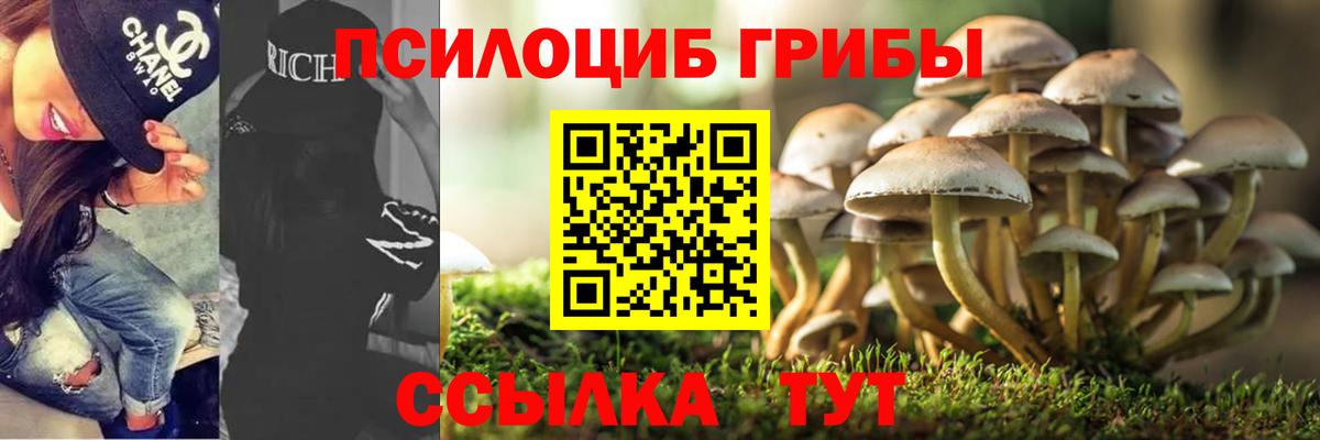 Галлюциногенные грибы мухоморы Камышин