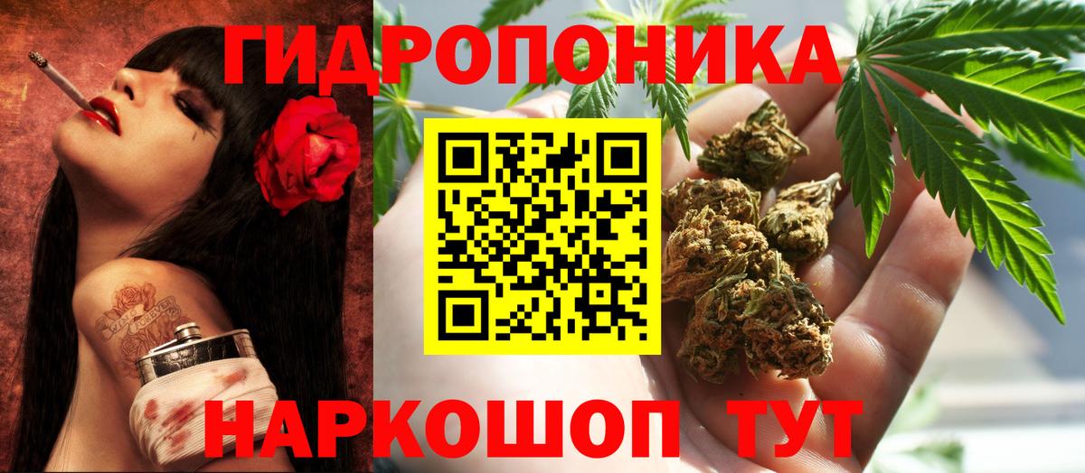 МАРИХУАНА план Камышин